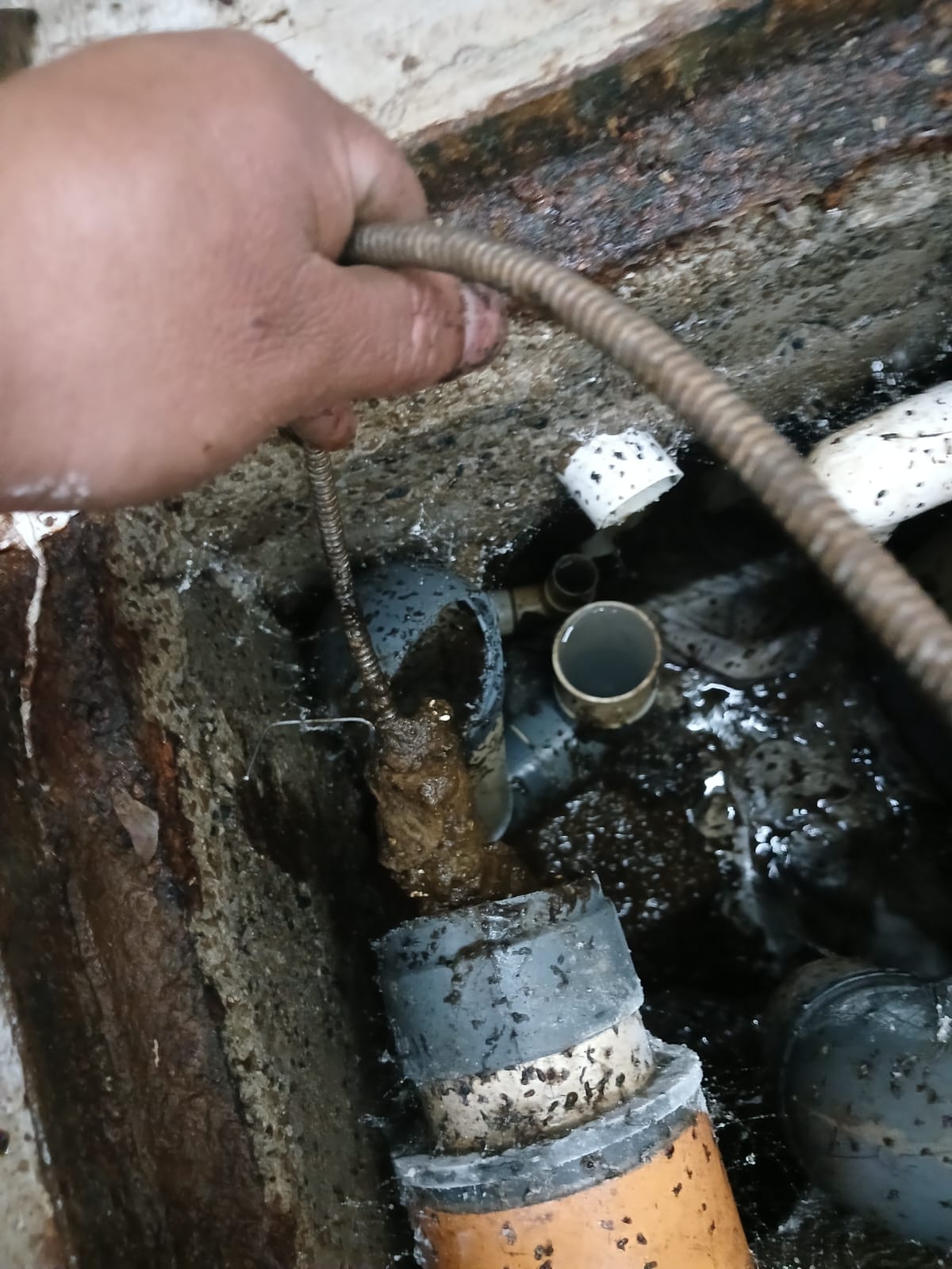 Trabajo en Video 1